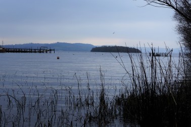 View from Loch Lomond Banks